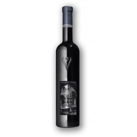 Saint Salonius - 2020 - Vin Biologique
