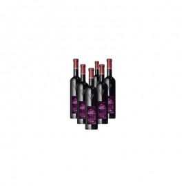 Saint Honorat 2021x6 - Organic Wine - Syrah