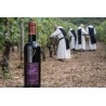 Saint Honorat - 2021 - Vin Biologique