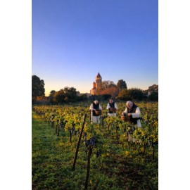 Saint Honorat 2022 Biologique