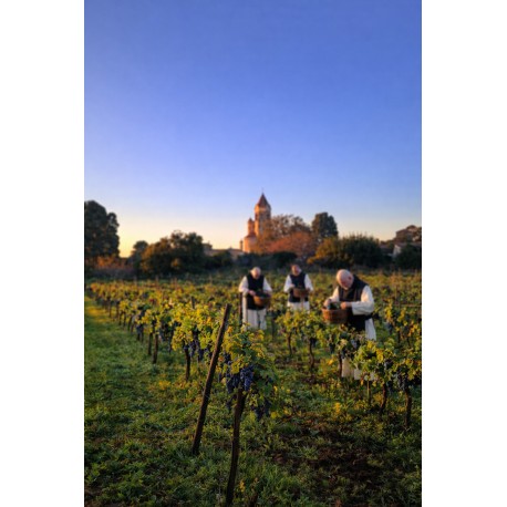 Saint Honorat 2022 Biologique