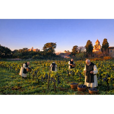 Saint Lambert - 2021 - Organic Wine