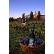 Saint Eucher - 2021 - Pinot Noir