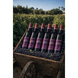 St Honorat 2022 x 6 bouteilles (+2€sup.frais/port)
