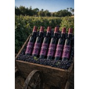Saint Honorat 2021x6 - Organic Wine - Syrah