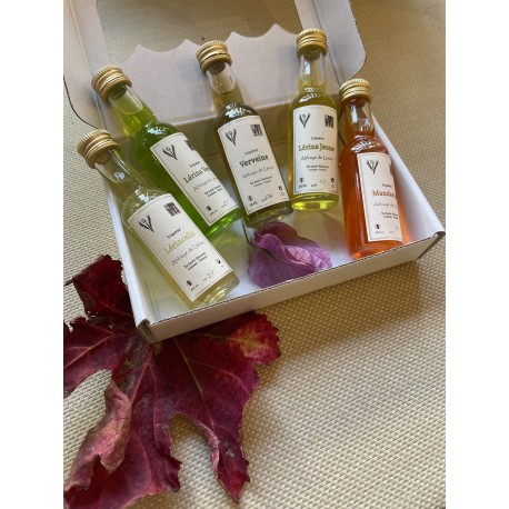 Etui 5 Liqueurs