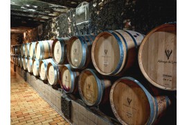 Que s’est-il passé dans le vignoble de l’Abbaye de Lérins depuis les vendanges ?