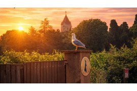 Les beaux jours reviennent à Saint-Honorat.