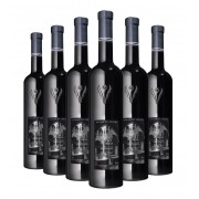 Saint Salonius 2022 - 6 Bottles - Organic Wine
