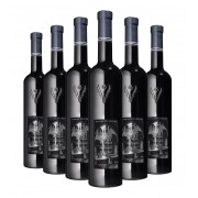 Saint Salonius 2023 - 6 Bottles - Organic Wine