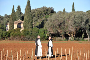 Deux moines cisterciens discutant dans un champ fraîchement planté de piquets de vigne sur l'île Saint-Honorat
