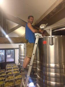 Vigneron sur une échelle au sommet d'une cuve inox, caisses de raisin blanc en dessous lors de la vinification