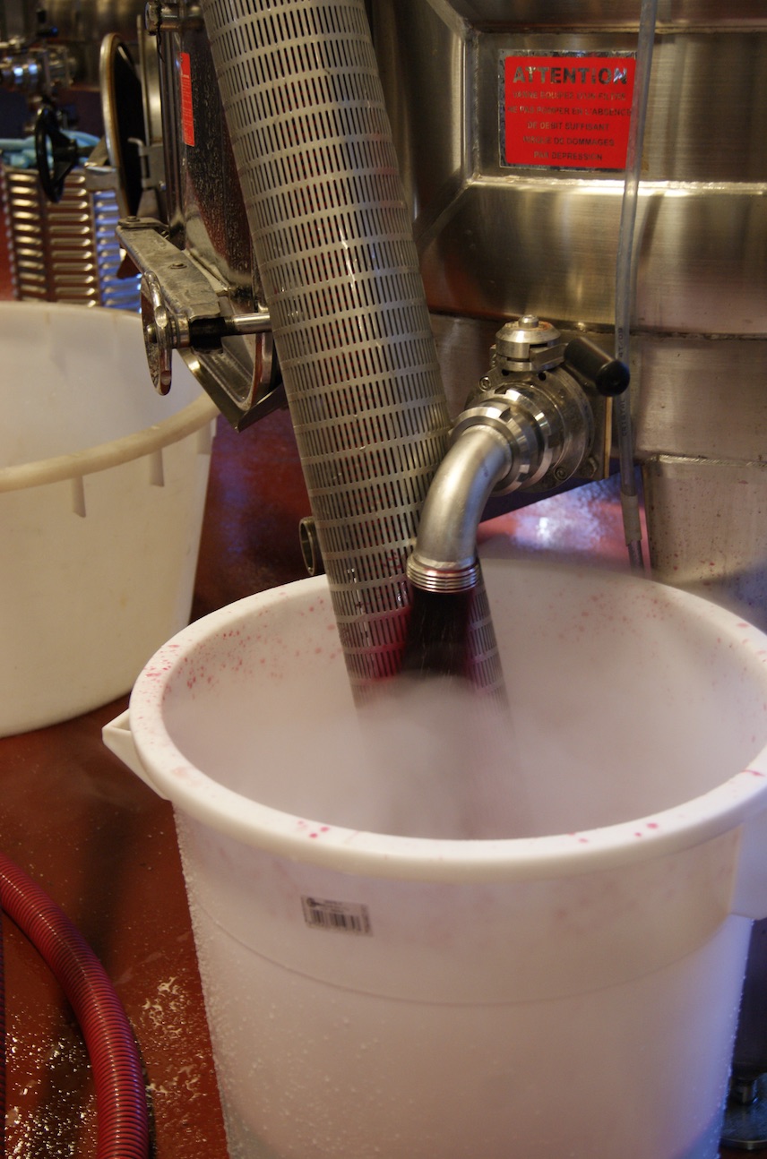 Vin s'écoulant d'une cuve inox dans un seau blanc lors de la vinification à l'Abbaye de Lérins