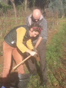 Deux vignerons prélevant un échantillon de terre à la tarière dans le vignoble de l'Abbaye de Lérins