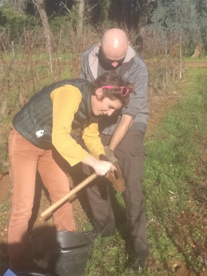 Deux vignerons prélevant un échantillon de terre à la tarière dans le vignoble de l'Abbaye de Lérins