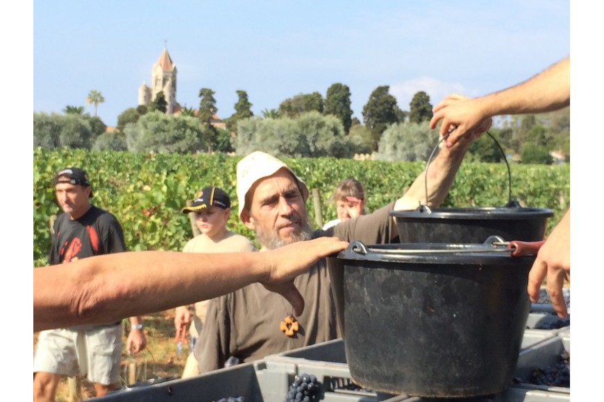 Vendangeurs passant des seaux de raisin noir dans le vignoble de l'île Saint-Honorat, monastère fortifié en arrière-plan
