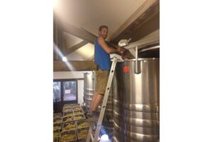 Vigneron perché sur une échelle remplissant une grande cuve inox de raisin blanc pendant les vendanges à l'Abbaye de Lérins
