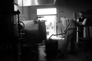 Moine cistercien et vigneron pressant le raisin sur un pressoir traditionnel dans le chai de l'Abbaye de Lérins, photo en noir et blanc