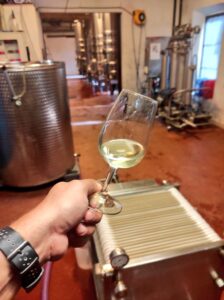 Main tenant un verre de vin blanc devant les cuves inox et le filtre du chai de l'Abbaye de Lérins