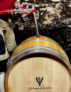 Main d'un moine soutirant le vin depuis une barrique de chêne marquée Abbaye de Lérins dans la cave en pierre