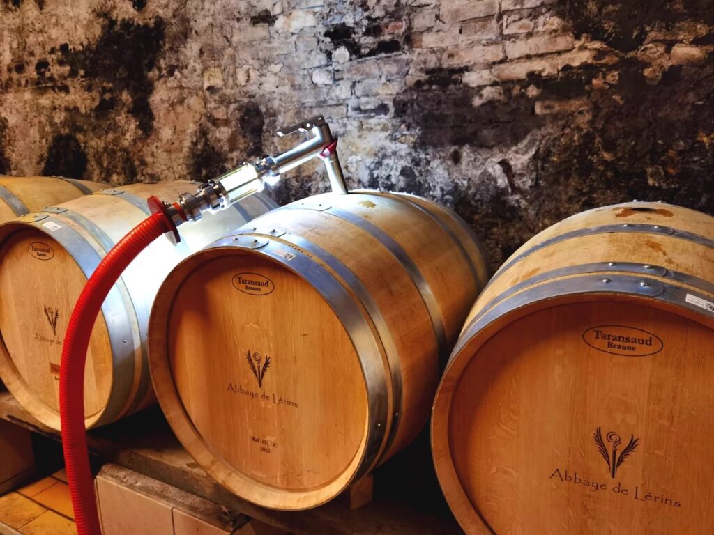Barriques de chêne portant le logo Abbaye de Lérins dans une cave voûtée en pierre, reliées par un tuyau de soutirage